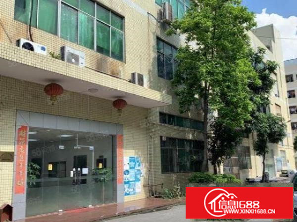 观澜松元一楼2800平米.大小可分，全新无尘车间豪华装修.