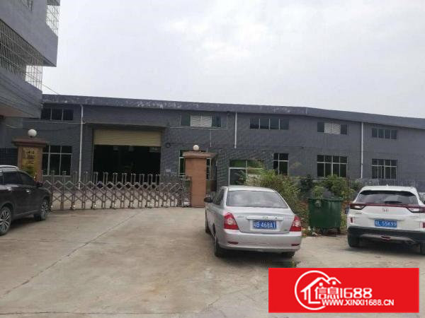 清溪镇原房东小独院单一层独院实量厂房2500平方