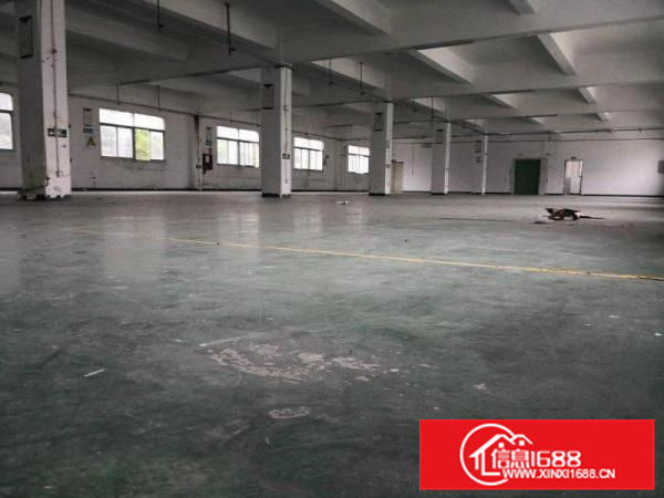 独院厂房6500平米，外观形象高端大气，交通方便