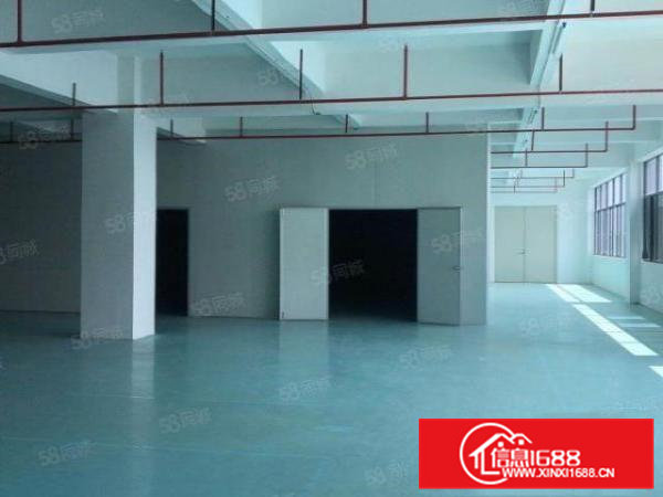 桥头新出楼上带消防喷淋，带地坪漆厂房