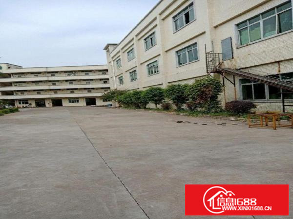 标准独门独院厂房招租