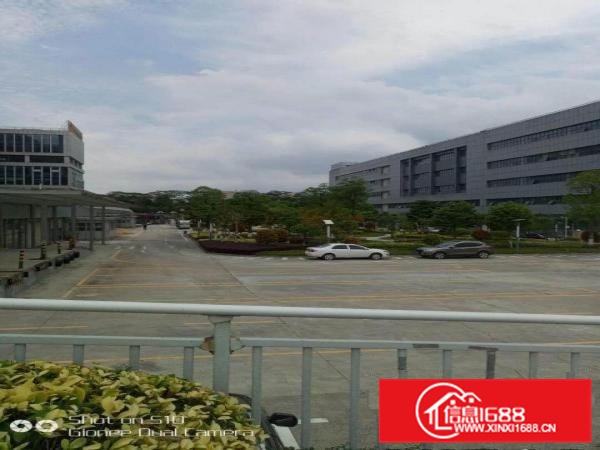 潼湖，全新红本产业园60000平大小隆重招租