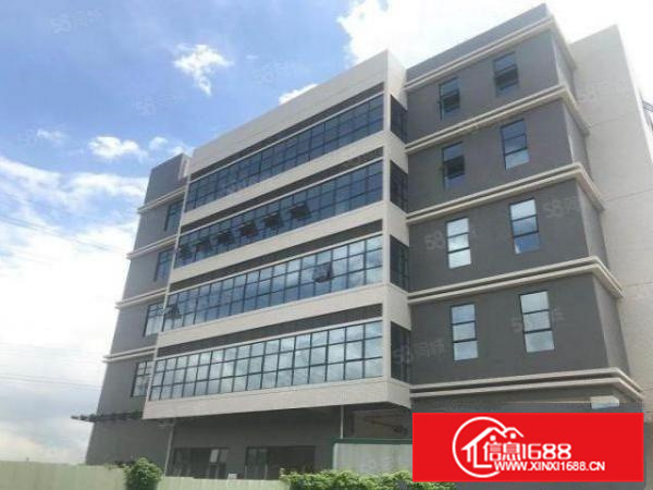 狮山兴业路全新独栋楼层厂房
