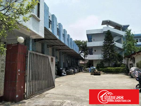 虎门南栅新出一独门独院厂房5800平