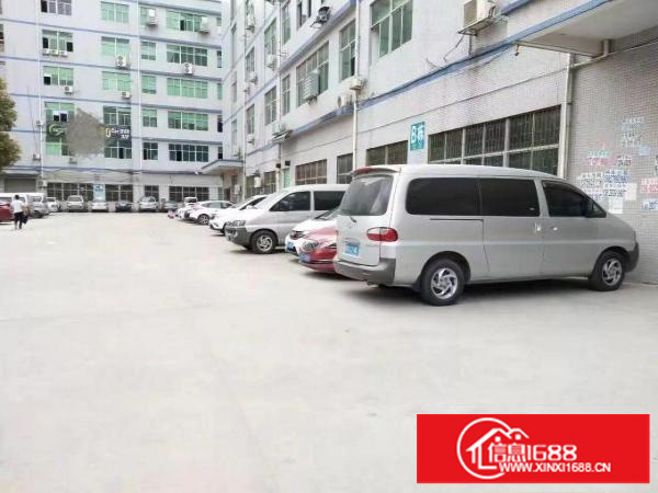 坂田上雪科技园一楼1000平方出租