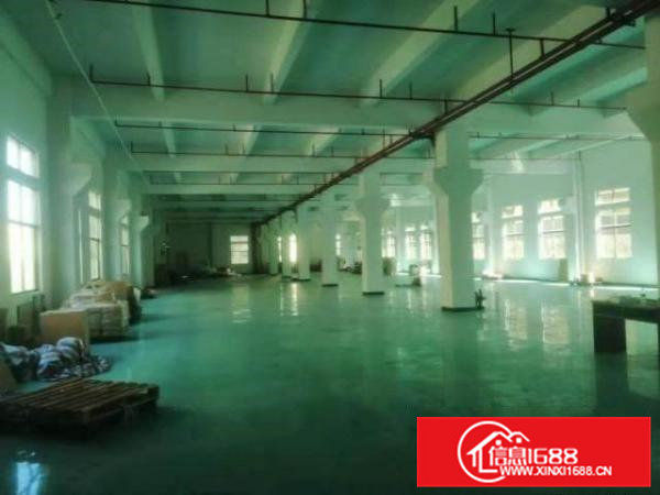 横沥镇西城工业区新出原房东标独门独院1000平方厂房出租