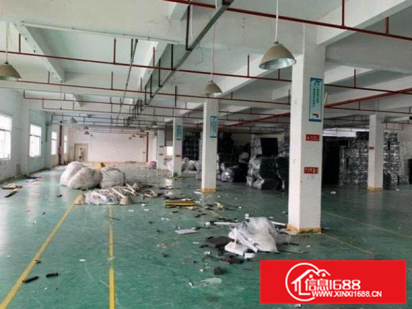 惠阳新圩东风工业园区新空厂房一楼1200平现成装修