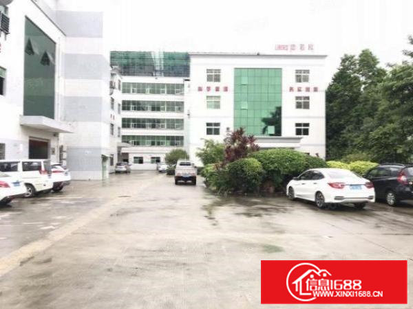 超靓房！清溪镇中心原房东700平急租