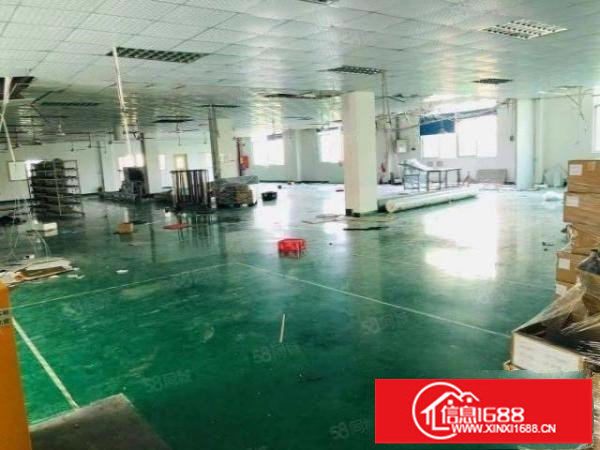 原房东！松岗独院7080平方带装修红本厂房出租空地4000平