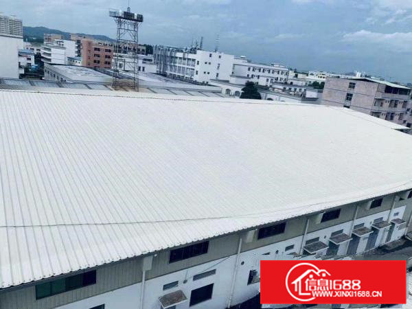 钢铁结构房，滴水10米，工业用地