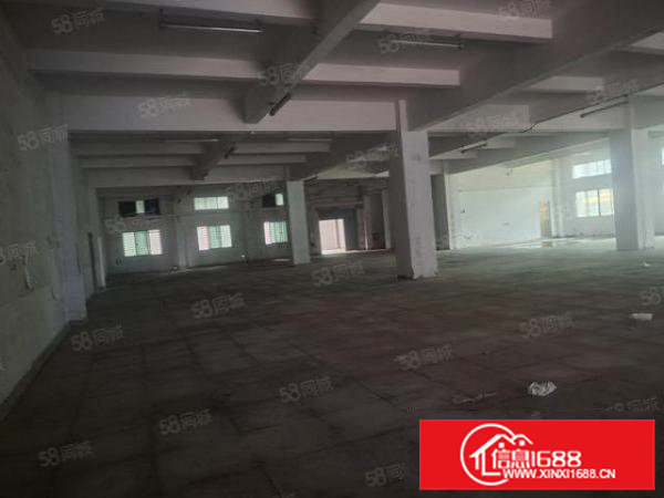 ！虎门南栅新空一楼4000平米，空地超大，可办环评，