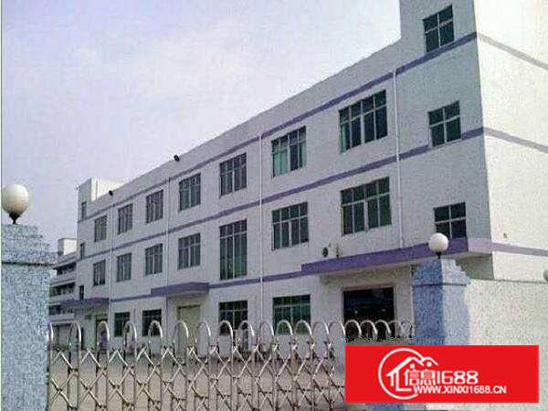 塘厦振兴围原房东实际面积500平方出租，价格便宜