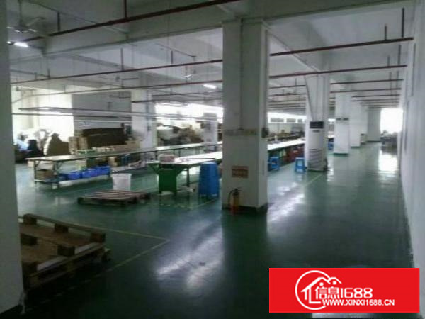 坪山大工业区2楼850平方带精装修办公室