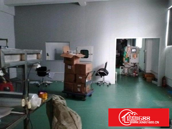 塘厦石鼓标准单层一楼