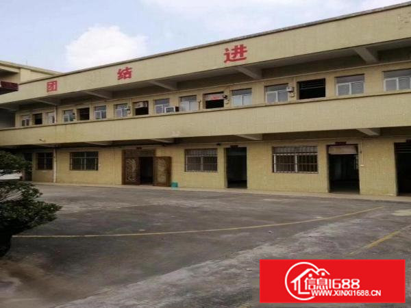 常平漱新超大空地1200平厂房出租