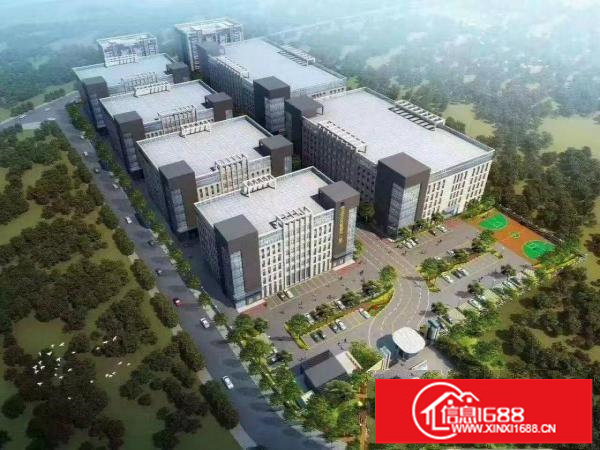 项目直租（光明80000平方红本厂房）招租/可分租