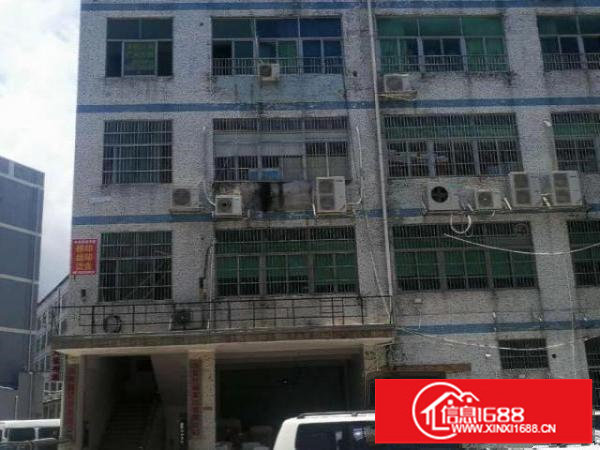 出租龙岗横岗仙桃源工业区厂房适合各种行业