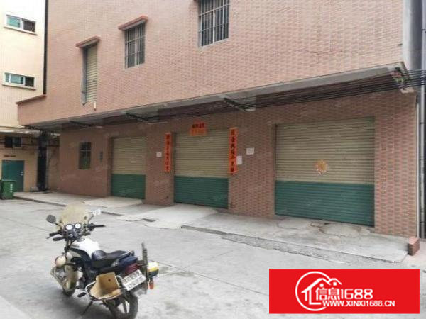 横沥镇原房东标准厂房一楼240平