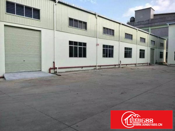 常平镇新出独院单一层钢结构厂房3000平米