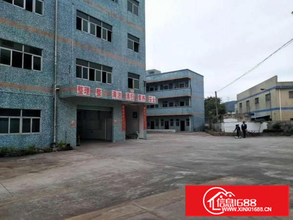 惠东白花标准独院厂房三层共5400平可分租行业不限