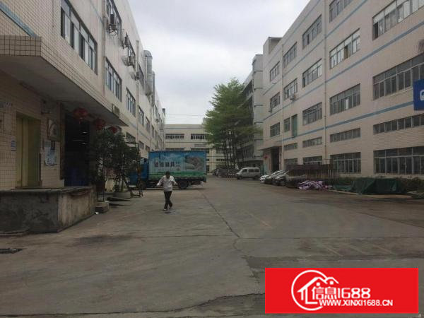 坪山碧岭新出原房东1~2层2800平米厂房急租