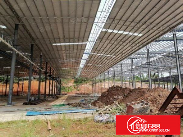 3万方全新工业园区，可多间独门独院厂房出租，形象靓