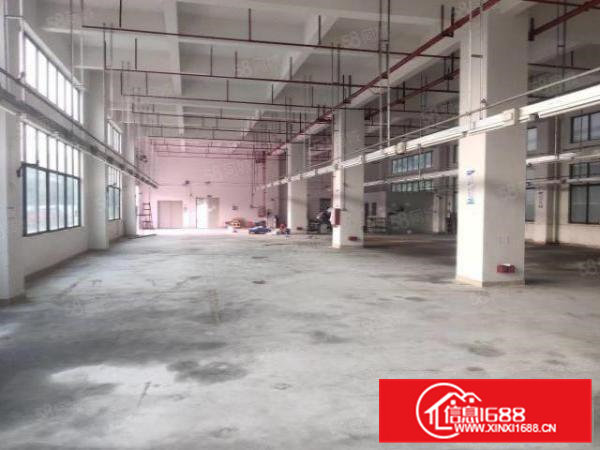 凤岗九成新园区一楼900平方6米高带装修厂房出租