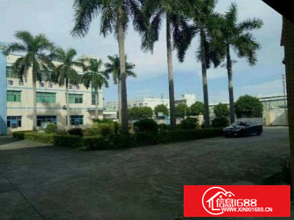 坪山碧岭工业园独院花园式村尾厂房4341平米招租