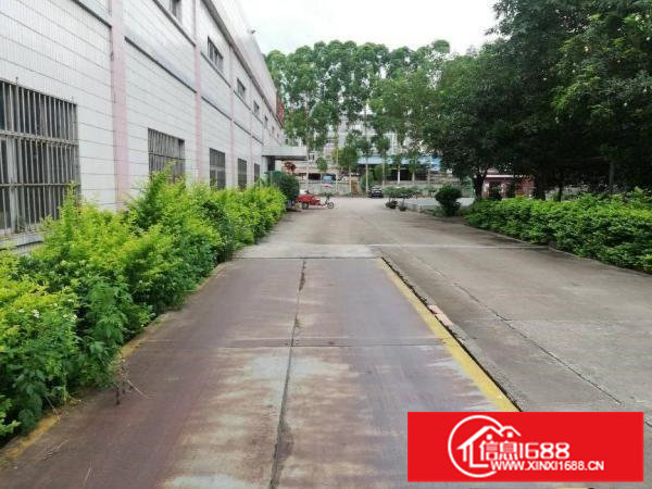 坪山坑梓1600平米单一层厂房出租原房东