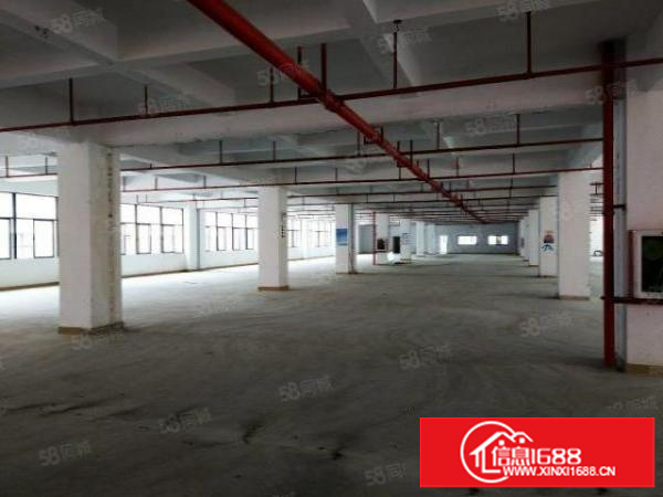 石岩塘头白芒关高新产业园出租21000平米可分租