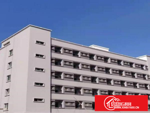 常平国际创新港高层高7米全新厂房出租,带牛角可行车可环评