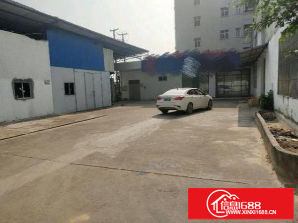 大岭山独门独院带装修厂房2700平方