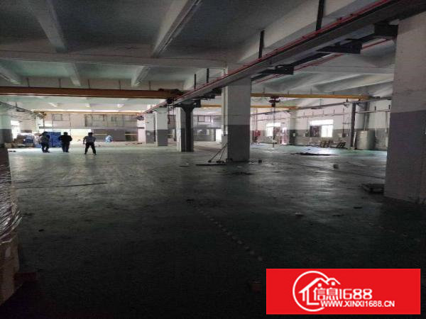 S南联独院厂房2500平方可分租