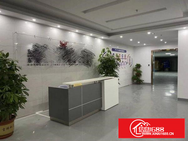 长安镇沙头滨海新区原房东厂房