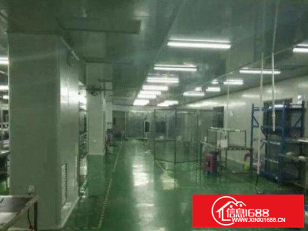 新田460平带精装办公室水电齐全有消环批文交通方便