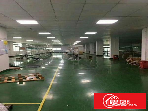 大浪华兴路边原房东3楼900平带装修