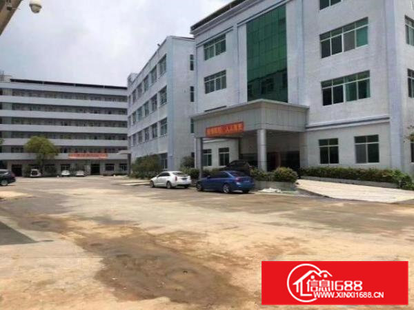 高埗镇冼沙独院标准厂房45600平大小可分租