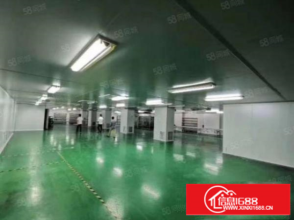 凤岗碧湖大道楼上2500平方豪华精装修水电办公室无公摊出租