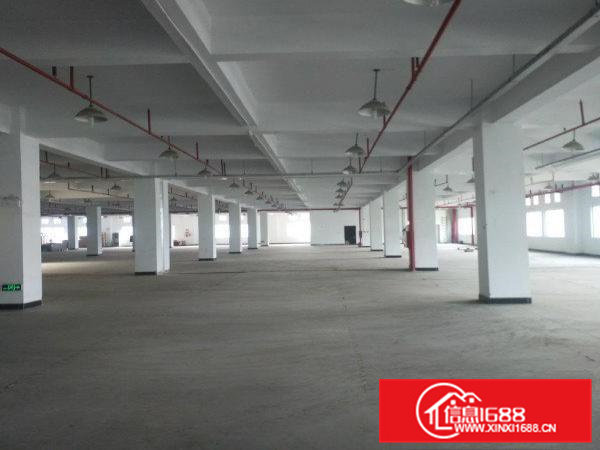 茶山新出首付5成按揭10年双证齐50年产权厂房出售