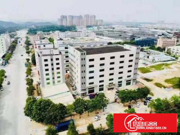 长安镇环评独院厂房12000平，可以分租