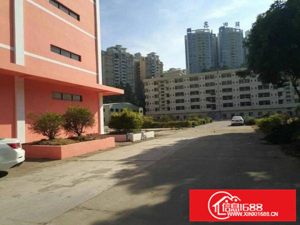 常平镇新出原房东标准单层厂房