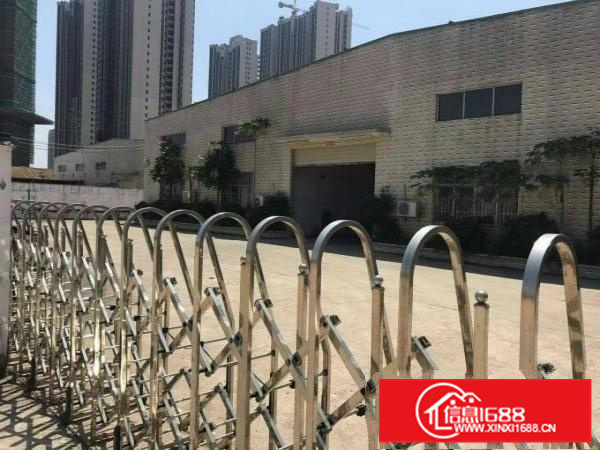 惠阳秋长3000平独院钢构高8米空地大可分租