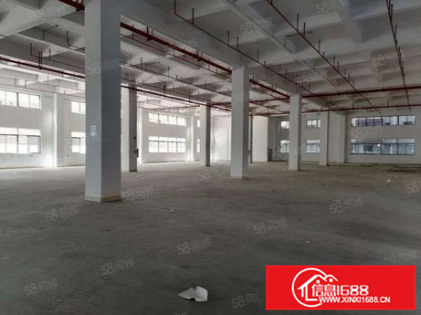7米高凤岗金凤凰一楼厂房出租3200平厂房方正可以分租