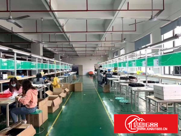 塘厦科苑城新出二楼1000平，公摊小，配置齐全原房东直租