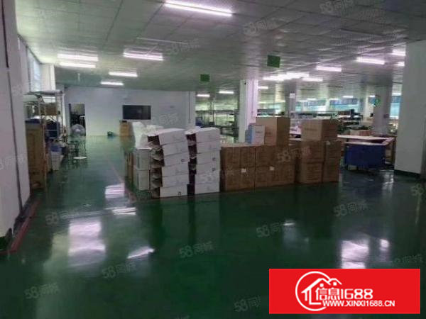 茶山镇工业区高大尚厂房出租3456楼各1000平方招租
