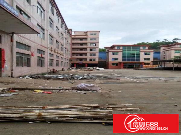 龙岗同乐新出16000独院厂房