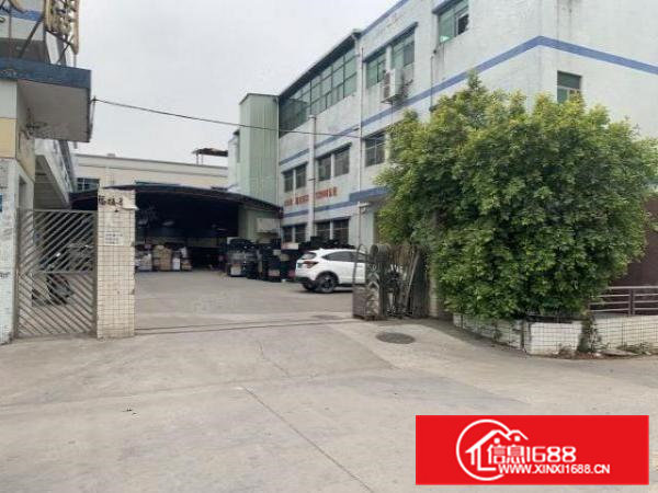 高埗新出原房东标准独门独院厂房5700平方带现成装修地坪漆