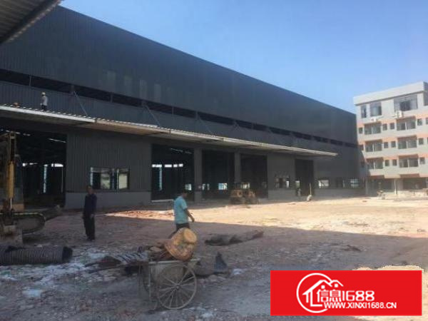 狮山原房东标准厂房出租，形象好