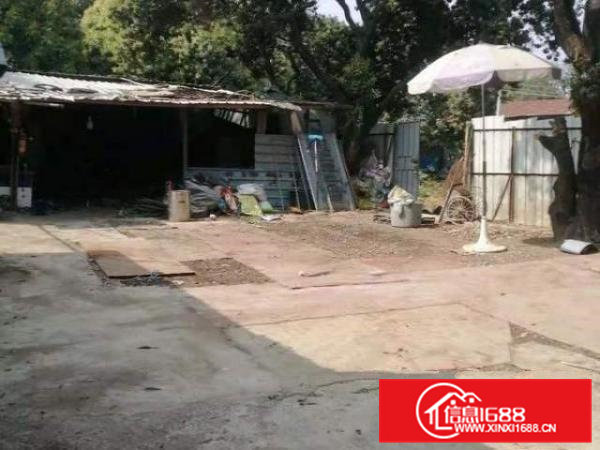 新出独门独院，交通便利，大车可进，租金便宜！