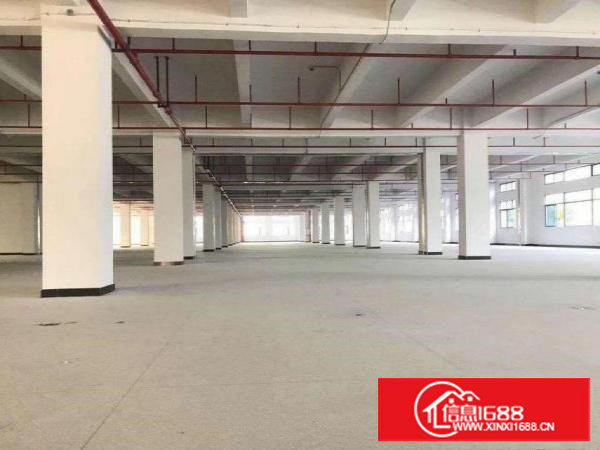 龙背岭10000平方独门独院标准厂房招租，配电大